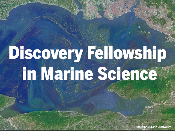 Accepting applications for Discovery Fellowship in Marine Science