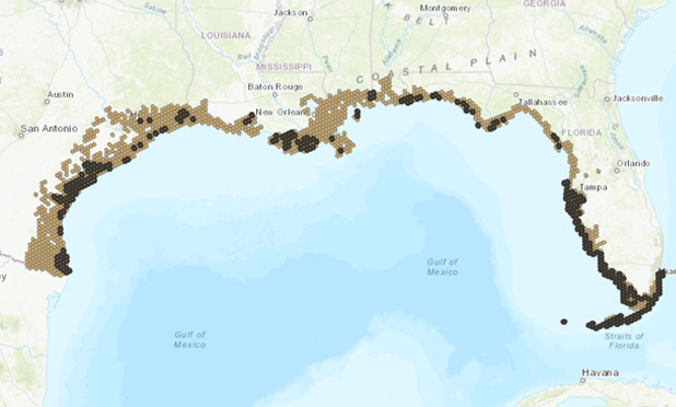 The Gulf of Mexico gets its Physical