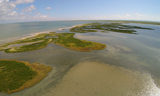 Researchers at The University of Texas Marine Science Institute in Port Aransas, Texas will study the effects of Hurricane Harvey on the local seagrass beds and bay system. Credit: Jace Tunnell.