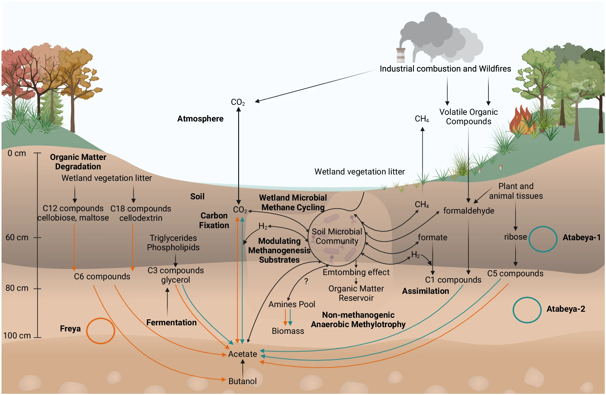 Appler NatComms Fig6