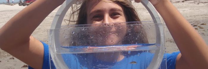 Summer Science Fishbowl