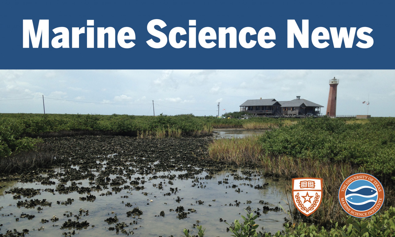 Marine Science News, 3rd Quarter Edition 2020