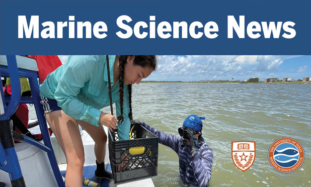 Marine Science News 2nd Quarter Edition is out
