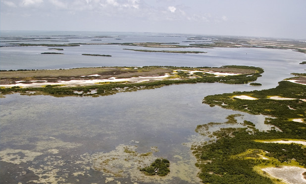 New Texas Gulf Coast Research Center to be Established at UTMSI