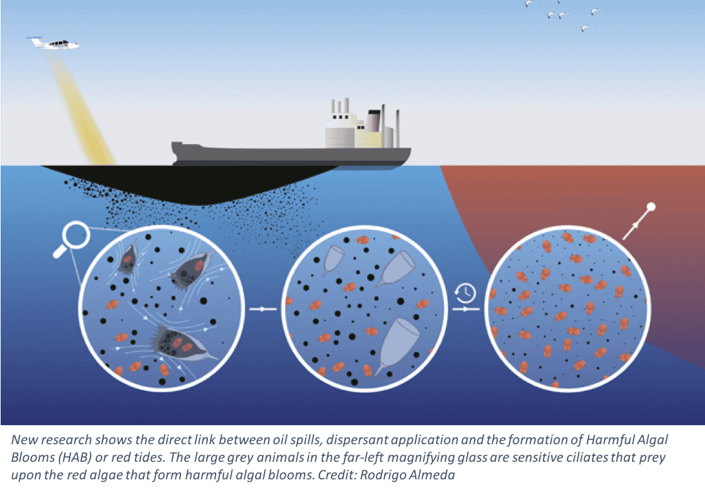 DispersantGraphic